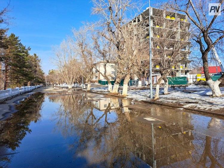 Небольшой дождь ожидают в Павлодарской области 15 апреля