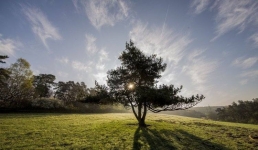 Павлодарские санзоны сравнили с бермудским треугольником