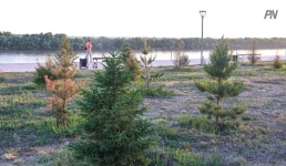 Павлодарская школа поддержала акцию «Таза Казақстан»