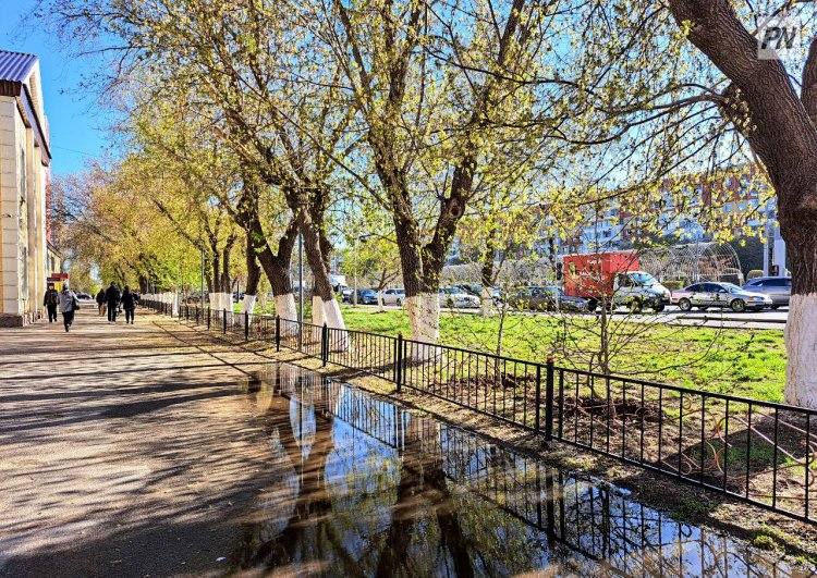 8 мая в Павлодарской области не будет осадков