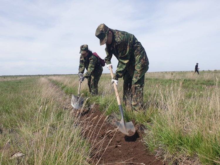 Поисковики запустили «зеленую» акцию в Павлодарском районе