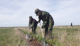 Поисковики запустили «зеленую» акцию в Павлодарском районе