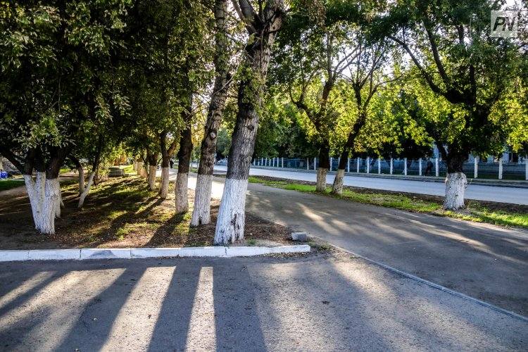 Погоду без осадков обещают в Павлодарской области 11 мая