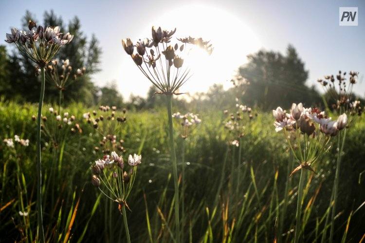 Что может снизить качество жизни павлодарцев