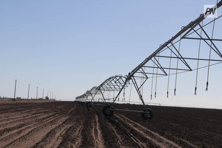 Китайская компания готова наладить производство в Павлодарской области