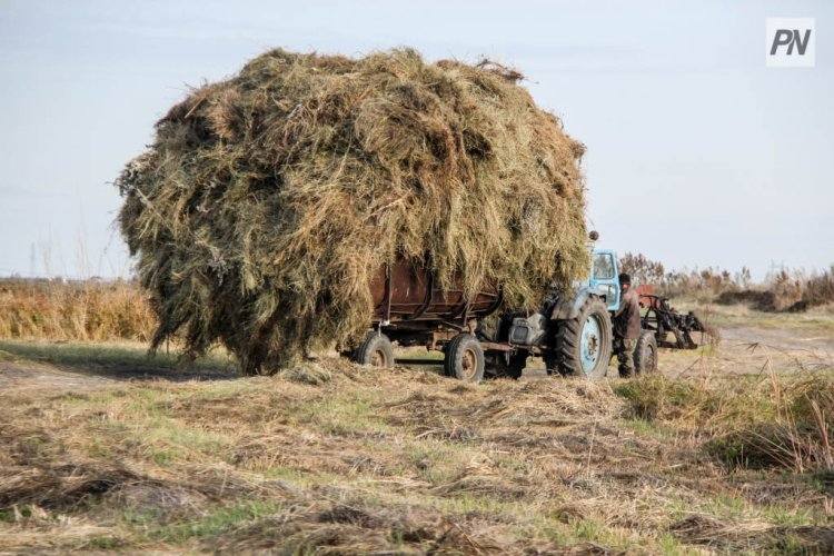 Аграрии поблагодарили акима Павлодарской области