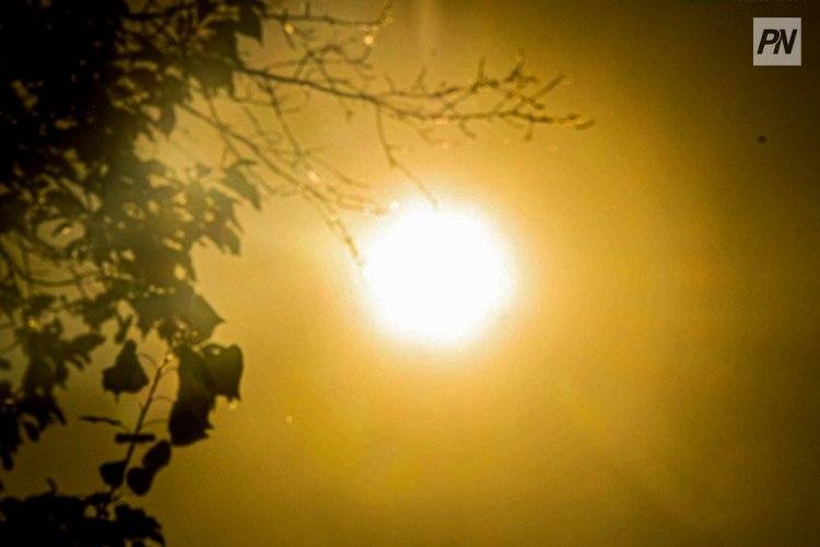 Павлодарцев ждёт жаркая неделя