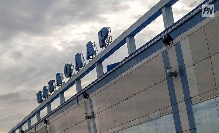 Крупный штраф заплатил павлодарский аэропорт за молчание