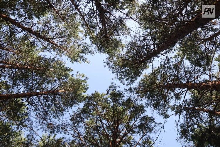 В Павлодарской области финишировала экоакция