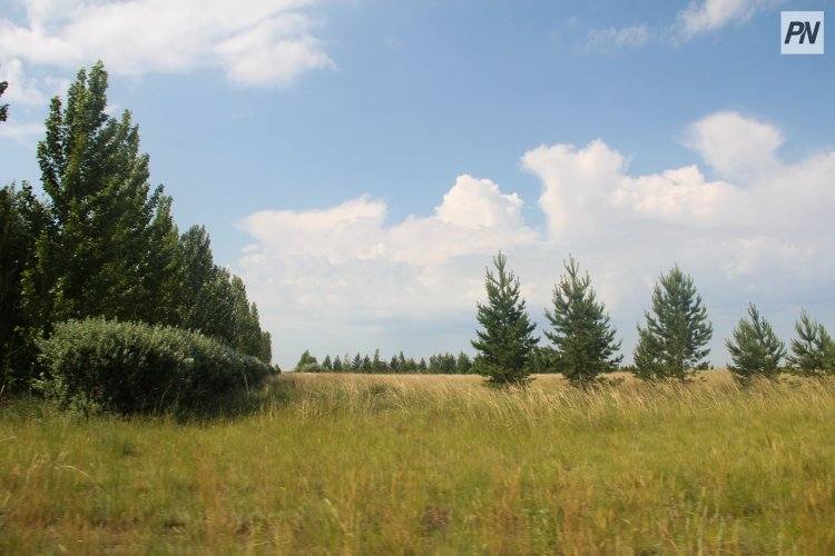 Павлодарцев пригласили на «Зеленый weekend»