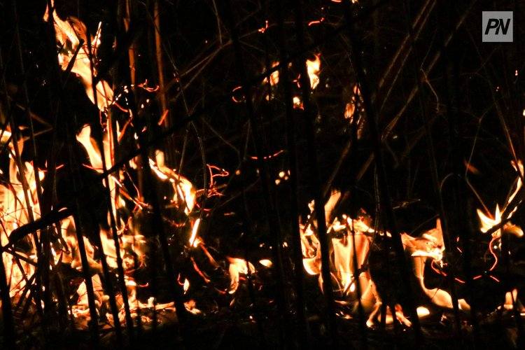 Павлодарские пожарные потушили горящий дом