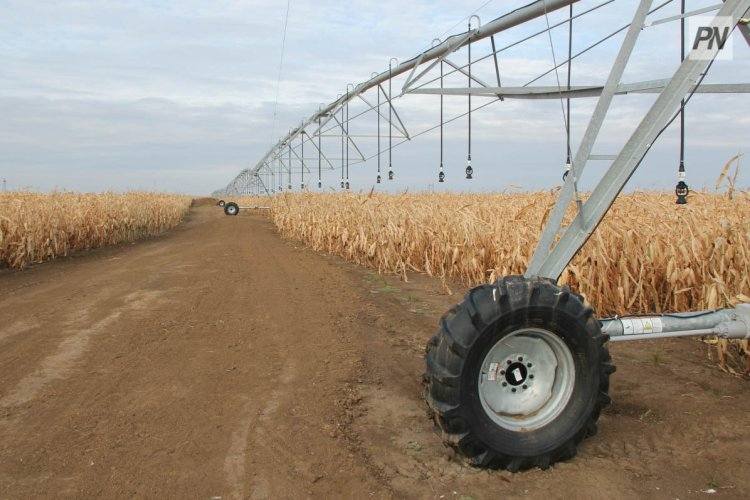 В Теренколе оценили урожай нетипичных для района культур