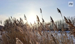 Туманно и облачно будет в Павлодарской области 19 ноября