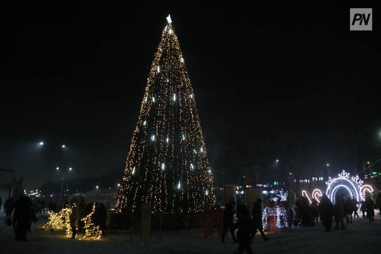 Сколько стоит Новый год, разъяснил аким Павлодарской области