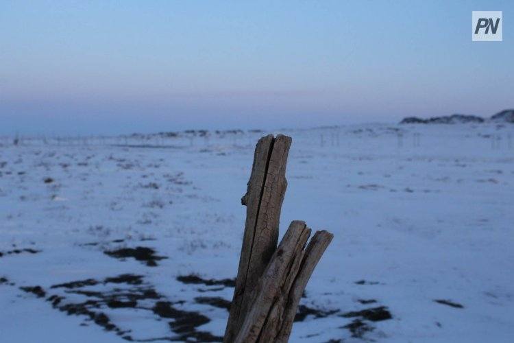 5 декабря в Павлодарской области будет бесснежным