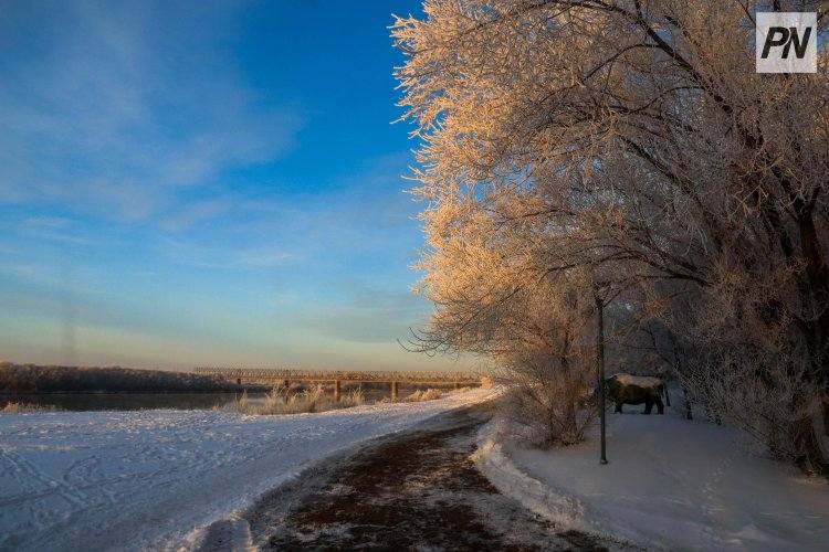 Снег и низовая метель: погода в Павлодарской области 11 декабря