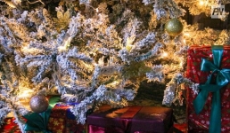 Когда зажгут огни на главной павлодарской елке