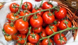 В Павлодарской области обязались не завышать цены на молоко, огурцы и томаты