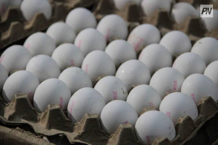 «Сделано в Казахстане»: павлодарские предприниматели могут получить льготные кредиты