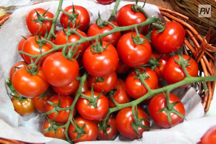 В Павлодарской области объявили три дня предновогодних ярмарок