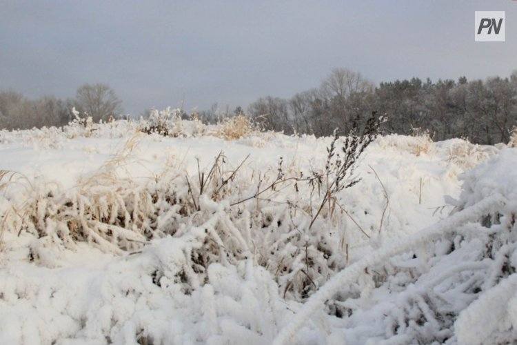 Часть Павлодарской области заметёт