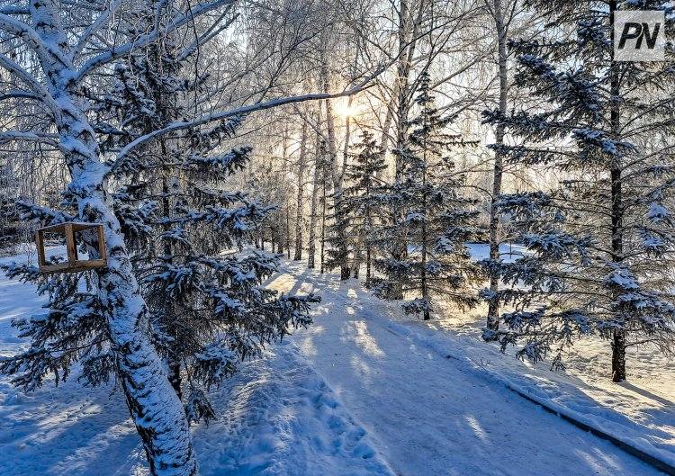 Новый год «с плюсом» ожидает павлодарцев