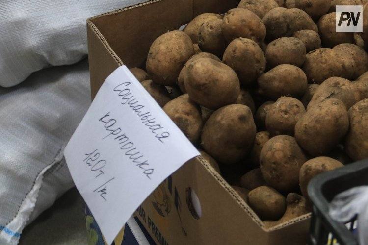 Павлодарского поставщика наказали за торговую надбавку