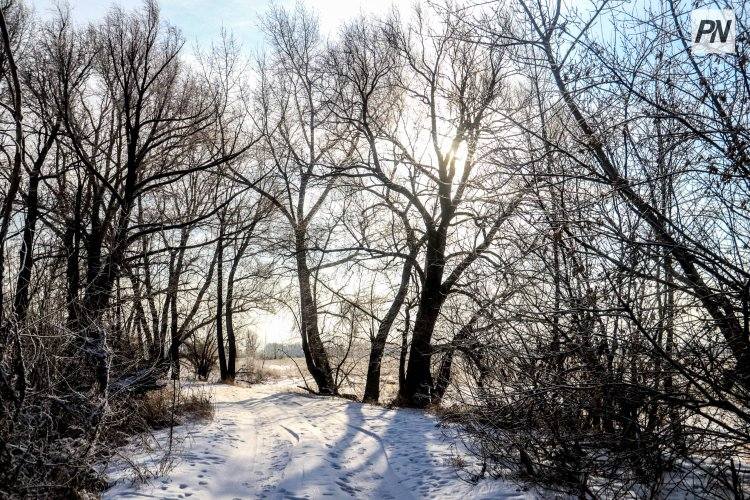 25 января в Павлодарской области чуть потеплеет