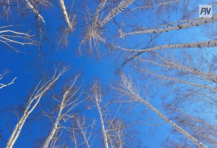 27 января в Павлодарской области не будет осадков