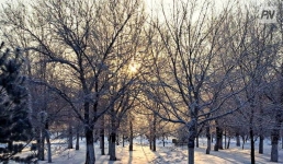 Туманно будет в Павлодарской области 17 февраля