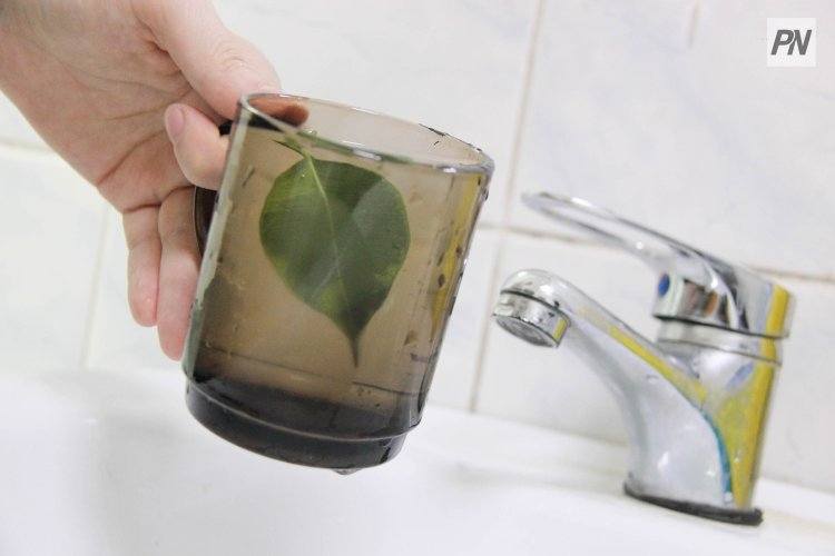 Жителям Аксу не стоит опасаться цветной воды