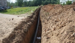 Павлодарцу возместят ущерб за погибшую корову