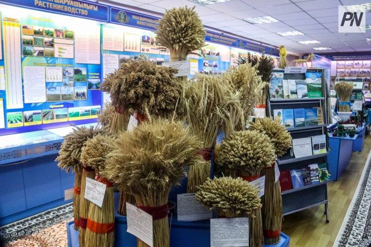 В Успенском районе начали праздновать юбилей