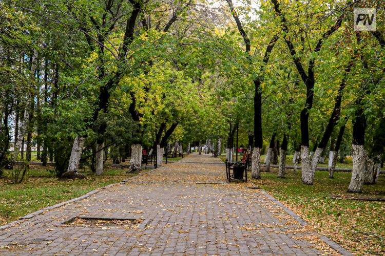 Где в Павлодаре обустроят мини-скверы