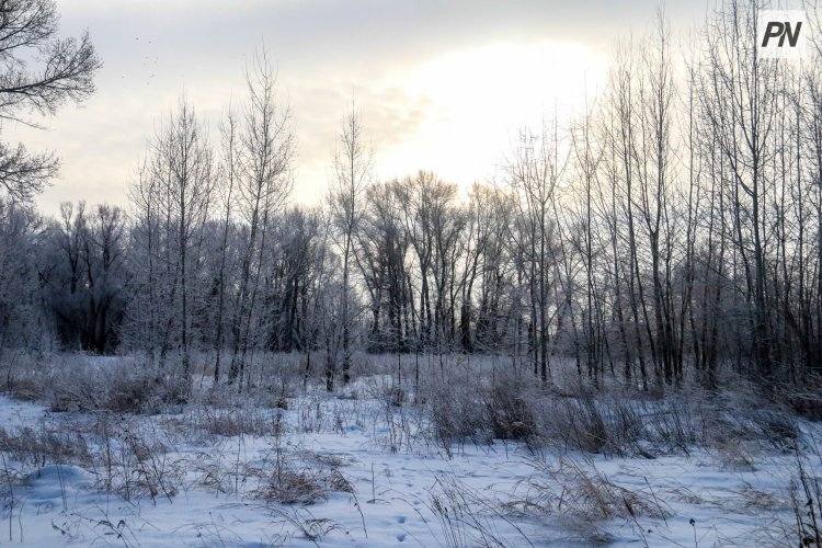 Снег и гололёд: погода в Павлодарской области 11 марта