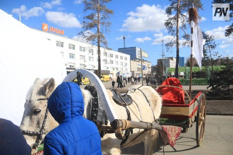 Павлодарцы прикоснулись к древнему прошлому