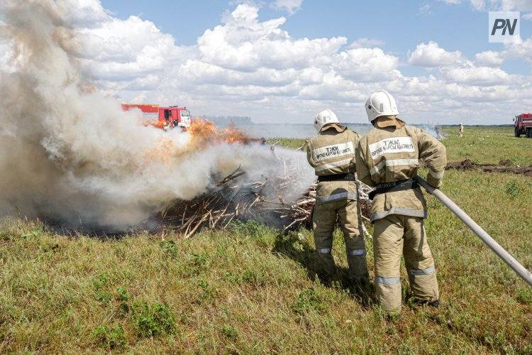 Пожар в Павлодарской области ликвидирован