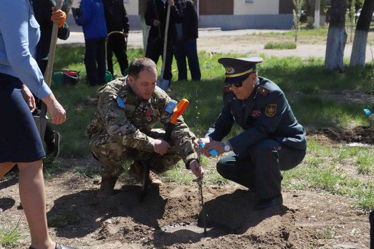 Поисковики Павлодара: забота о природе и сохранение памяти