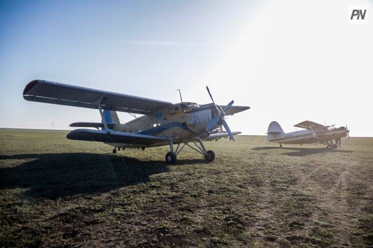 В Павлодарской области гнус потравят комплексно