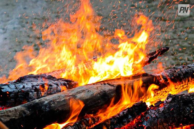 В резервате «Ертіс орманы» объявили четвертый класс пожарной опасности