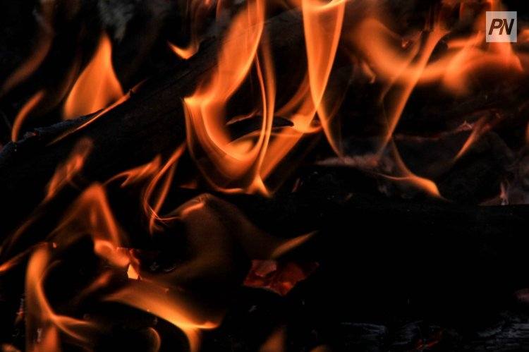 Павлодарская область намерена стать пионером в деле захоронения сельхозживотных