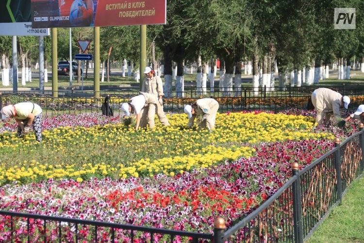 Павлодарские школьники на каникулах займутся озеленением