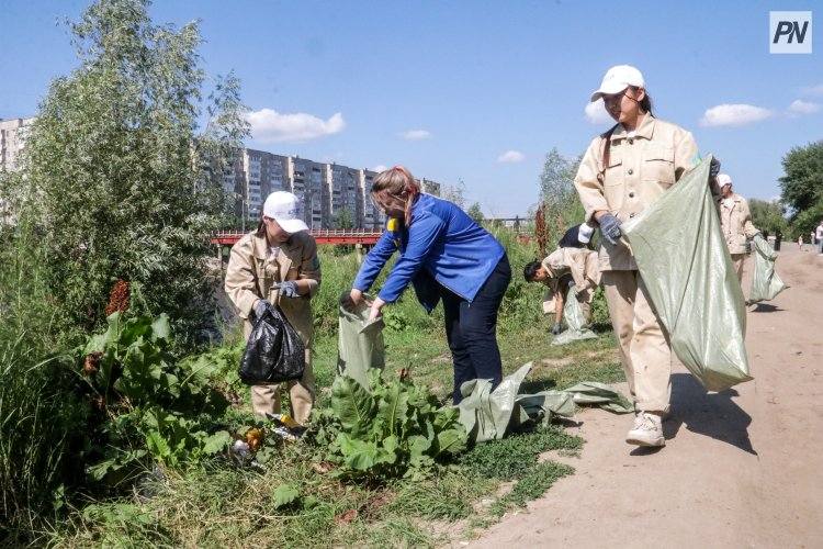 Павлодарские волонтёры снимут ролики о своей работе
