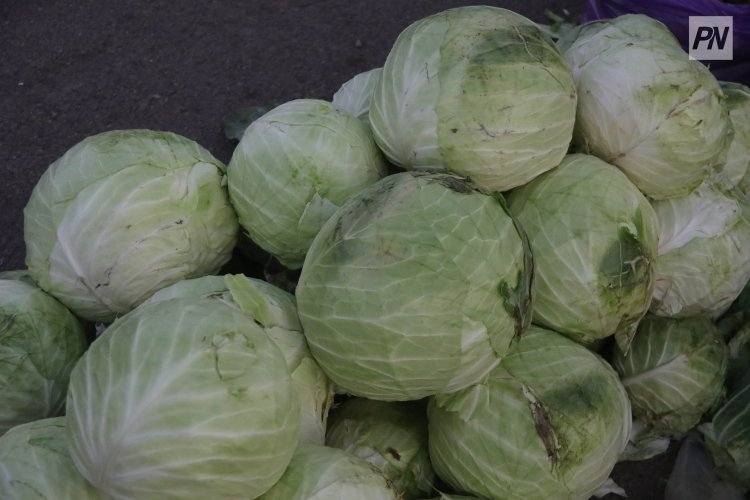 Капуста в Павлодаре подешевеет