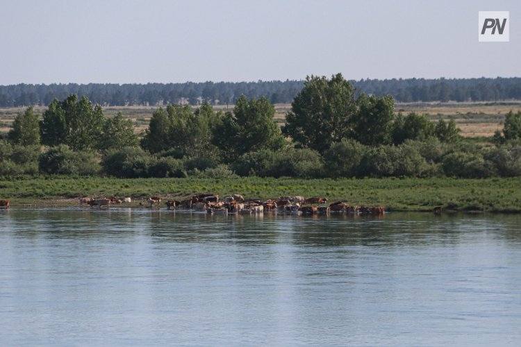 В последний день мая в Павлодарской области потеплеет