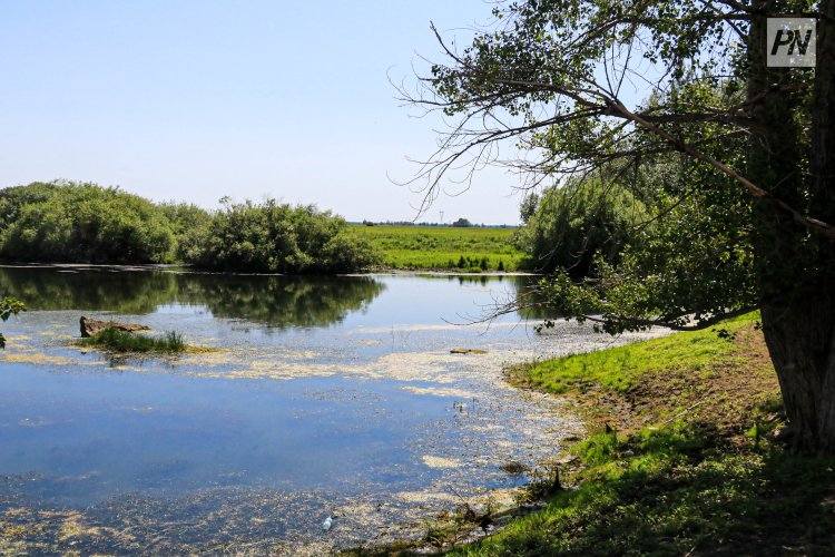 Экологи рассказали, как бороться мусором на берегу Усолки