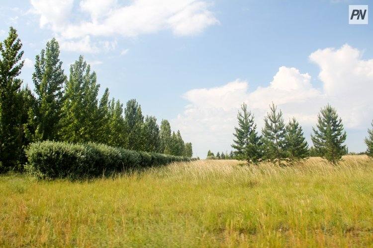 Эко-йога и квест: павлодарцев пригласили на «зелёный» выходной