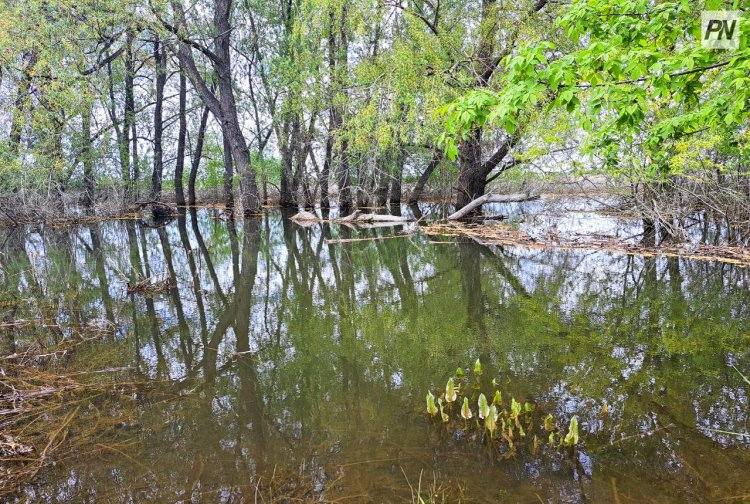 В Павлодарской области заполнили водой лиманы