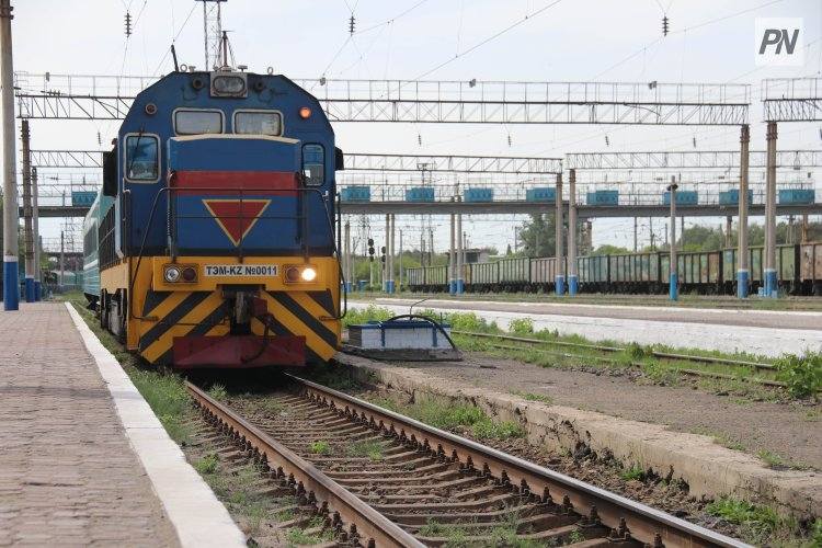 В Павлодарской области более тысячи человек наказали за выпас скота у железной дороги