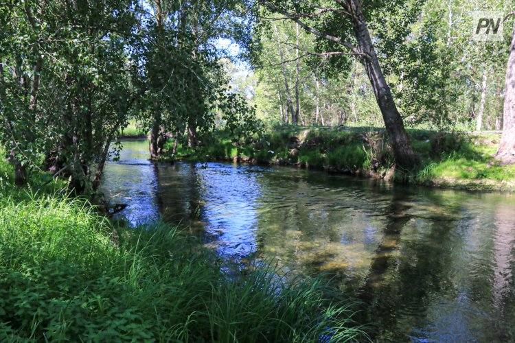 Павлодарка с ребёнком пыталась переночевать на берегу реки